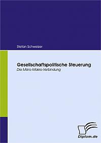 Gesellschaftspolitische Steuerung