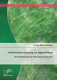 Hydrothermale Vergasung von Algenbiomasse: Sensitivitätsanalyse der Methangestehungskosten