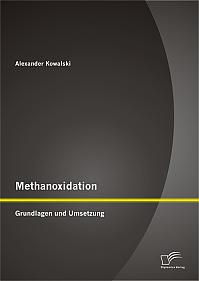 Methanoxidation: Grundlagen und Umsetzung