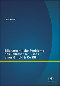 Bilanzrechtliche Probleme des Jahresabschlusses einer GmbH & Co KG