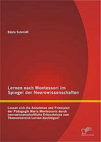 Lernen nach Montessori im Spiegel der Neurowissenschaften: Lassen sich die Annahmen und Prinzipien der Pädagogik Maria Montessoris durch neurowissenschaftliche Erkenntnisse zum Themenbereich Lernen bestätigen?