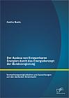 Der Ausbau von Erneuerbaren Energien durch das Energiekonzept der Bundesregierung: Vermarktungsmöglichkeiten und Auswirkungen auf den deutschen Strommarkt