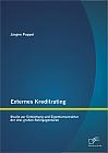 Externes Kreditrating: Studie zur Entstehung und Eigentumsstruktur der drei großen Ratingagenturen