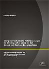 Energiewirtschaftliche Potenzialanalyse für Stromspeicher sowie für den Einsatz von flexiblen Energieanlagen: Für eine Stromversorgung mit 100% regenerativen Energien im Landkreis Harz