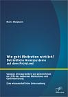 Wie geht Motivation wirklich?  Betriebliche Anreizsysteme auf dem Prüfstand: Gängige Anreizpraktiken von Unternehmen im Licht der modernen Motivations- und Gehirnforschung  Eine wissenschaftliche Untersuchung