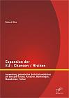 Expansion der EU - Chancen / Risiken: Auswertung potentieller Beitrittskandidaten am Beispiel Island, Kroatien, Montenegro, Mazedonien, Türkei