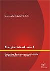 Energieeffizienzklasse A: Nachhaltiger Berufsschulunterricht mithilfe der Themenzentrierten Interaktion