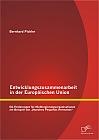 Entwicklungszusammenarbeit in der Europäischen Union: EU-Förderungen für Nichtregierungsorganisationen am Beispiel von Nuestros Pequeños Hermanos