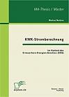 KWK-Stromberechnung: Im Kontext des Erneuerbare-Energien-Gesetzes (EEG)