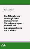 Die Bilanzierung von originären immateriellen Vermögensgegenständen des Anlagevermögens nach BilMoG