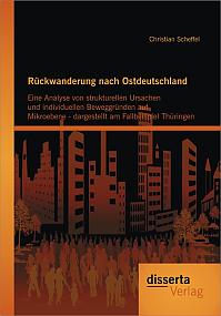 Rückwanderung nach Ostdeutschland: Eine Analyse von strukturellen Ursachen und individuellen Beweggründen auf Mikroebene - dargestellt am Fallbeispiel Thüringen