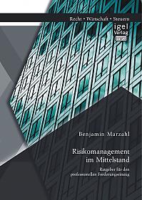 Risikomanagement im Mittelstand: Ratgeber für den professionellen Forderungseinzug