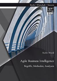 Agile Business Intelligence. Begriffe, Methoden, Analysen
