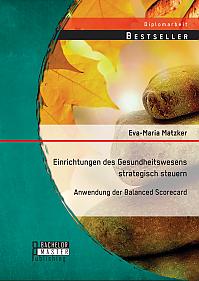 Einrichtungen des Gesundheitswesens strategisch steuern - Anwendung der Balanced Scorecard