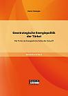 Geostrategische Energiepolitik der Türkei: Die Türkei als Energiedrehscheibe der Zukunft