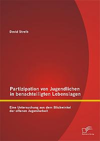 Partizipation von Jugendlichen in benachteiligten Lebenslagen: Eine Untersuchung aus dem Blickwinkel der offenen Jugendarbeit