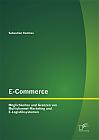 E-Commerce. Möglichkeiten und Grenzen von Multichannel-Marketing und E-Logistiksystemen
