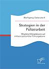 Strategien in der Polizeiarbeit. Mögliche Erfolgsfaktoren auf mittlerer polizeilicher Führungsebene