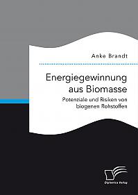 Energiegewinnung aus Biomasse. Potenziale und Risiken von biogenen Rohstoffen