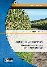 Tschick als Bildungsroman? Eine Analyse von Wolfgang Herrndorfs Meisterstück