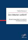 Zum Arbeiten verführt? Entgrenzungserleben in modernen IT-Großunternehmen