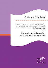 Identifikation von Promotorelementen, die zu einer CAR-abhängigen Induktion von INDY fu¨hren. Nachweis der funktionellen Relevanz der INDYInduktion